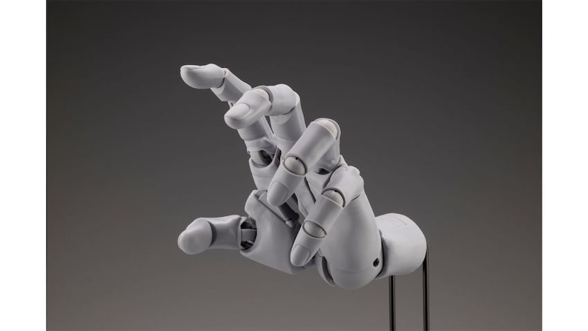最安値 イミュータブルハント 景品 85586a40e84553c937b34801e17b1d