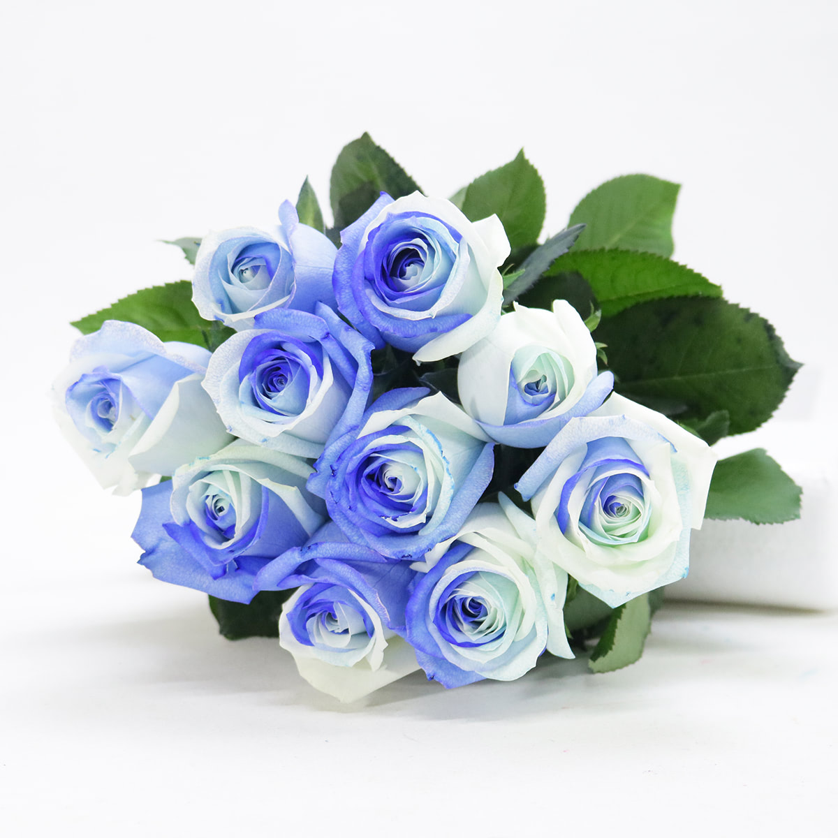 既成デザイン染色バラ 既成デザイン♡染色バラ