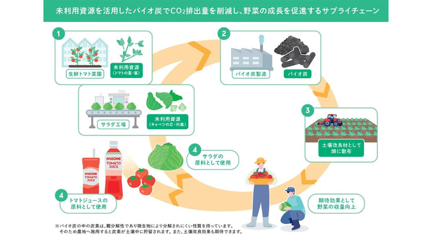 カゴメ、未利用野菜の「バイオ炭化」を研究 持続可能な農業を目指す