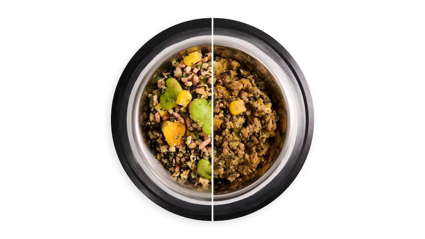 未開封】nosh DOG ナッシュドッグ 高級ドッグフード 44袋 ナッシュ