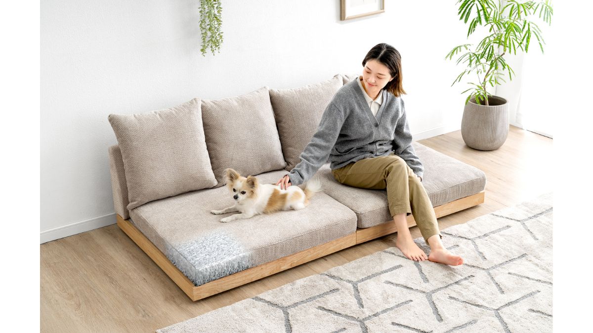 タンスのゲン、エアバランスを採用した「座面の中まで洗えるソファ