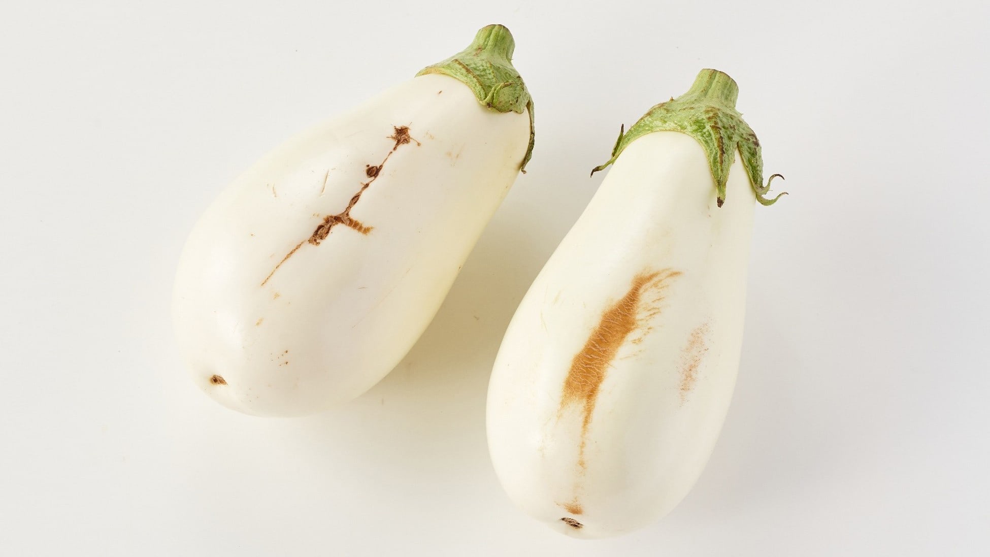 特典付き★　緑土なす　セット　みやしろちうこ オイシックス・ラ・大地、白なす産地がピンチ 急激な猛暑で規格外品が