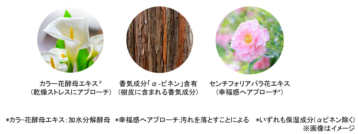 期間限定値引き✨ シーボン フェイシャリスト トリートメントマセa 3個 フェイシャリスト トリートメントマセa 110g│【公式】シーボン（C