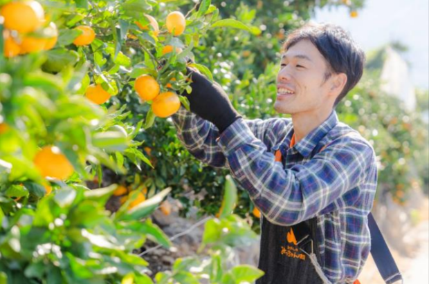 通販の虎」、記念すべき100人目の志願者が誕生 160年続く老舗「みかん