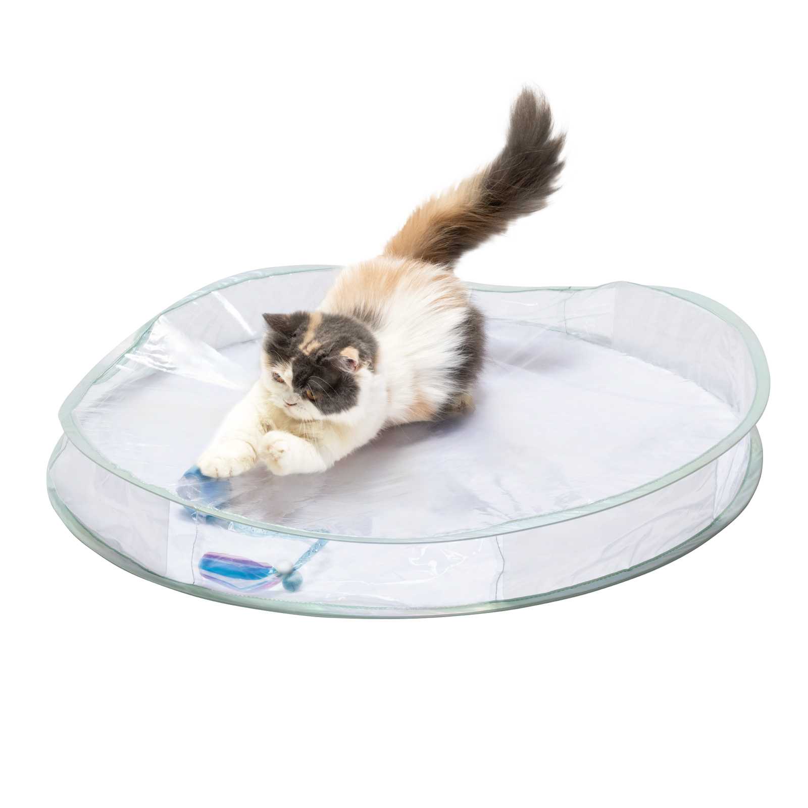 猫壱、透明デザインの猫用おもちゃ「クリアシリーズ」発売 可愛さを見