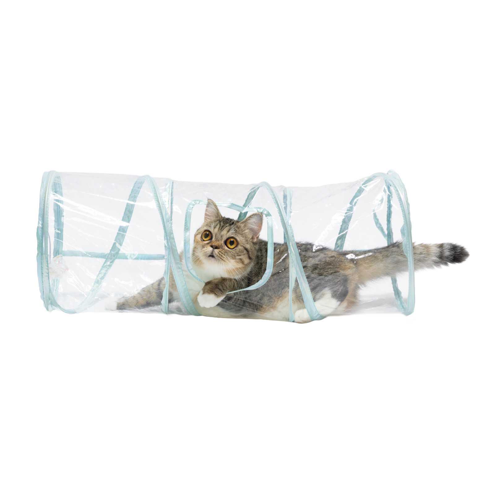 猫壱、透明デザインの猫用おもちゃ「クリアシリーズ」発売 可愛さを見