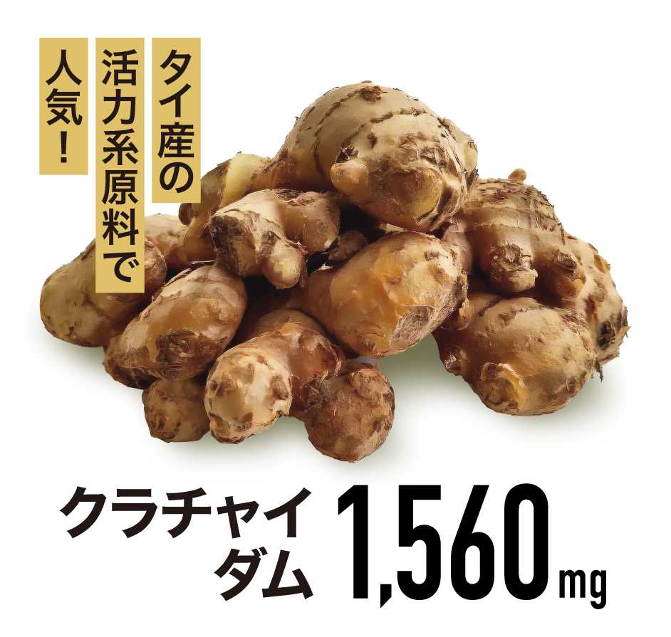 レバンテ、50倍濃縮マカ1日あたり1.1万mg配合の栄養機能食品「TENACIA