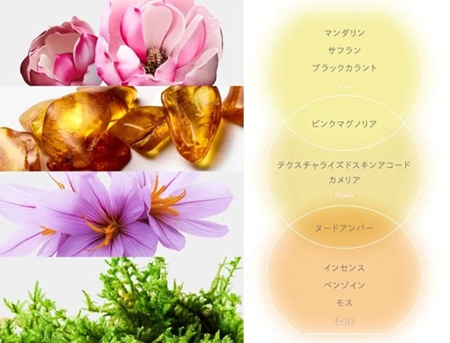 MTG、「ReFa」新商品 人気拡大 全国展開へ | 日本ネット経済新聞｜新聞