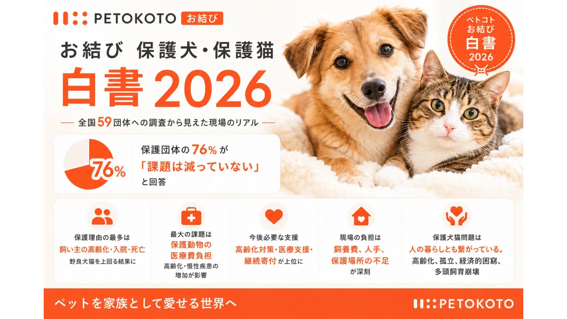 PETOKOTO、保護犬・保護猫問題のアンケート調査 飼い主の高齢化が新た