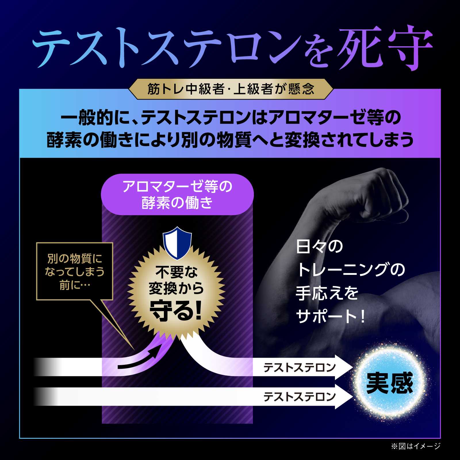 MOON-X Japan、テストステロンブースターサプリ「Testrong Pro」に 最 