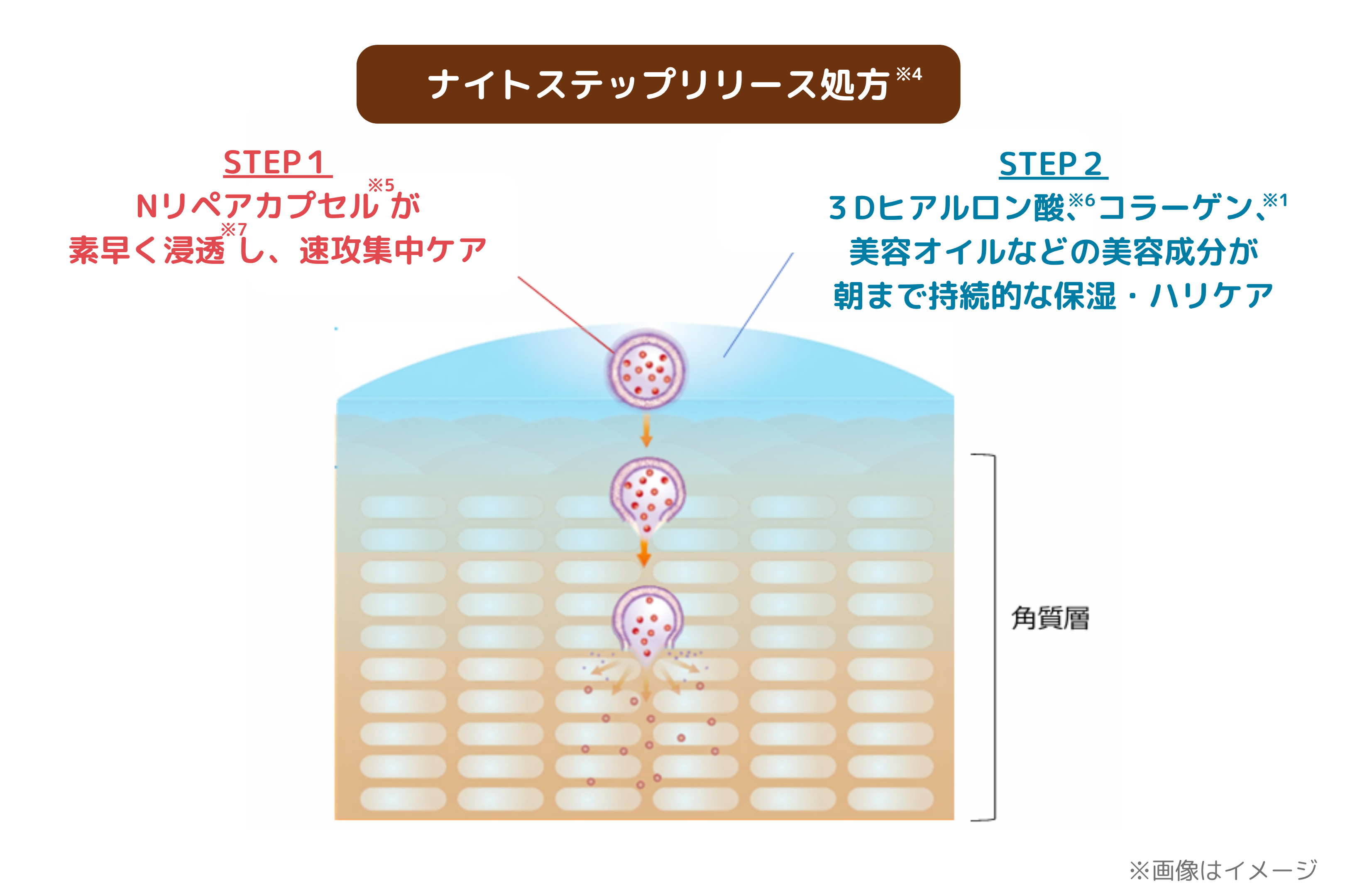 キューサイ、「コラリッチ ナイトクリーム リペア」を刷新 | 日本