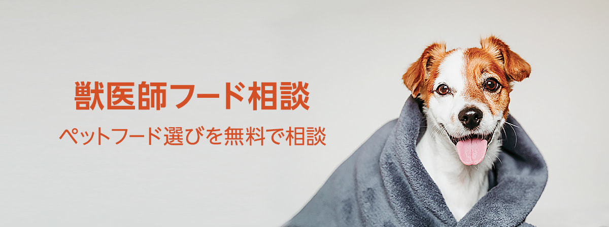 Amazon ペットの飼い主向けサービスを拡充 ペットに適したフードやグッズ選びをサポート 日本ネット経済新聞 新聞 ウェブでec 流通のデジタル化をリード