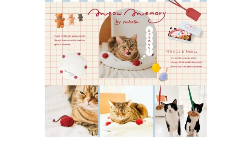 フェリシモ、「猫部」から新ブランド『meow memory』誕生 「うちのこ」が喜ぶお祝いグッズが登場 | 日本ネット経済新聞｜新聞×ウェブでEC＆流通のデジタル化をリード