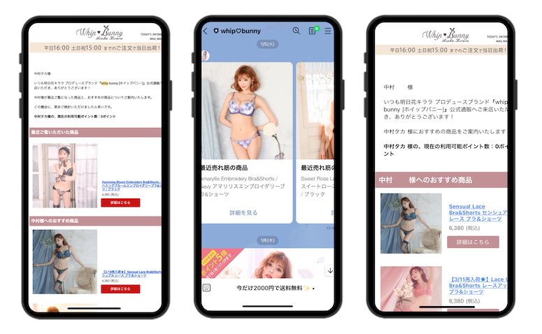 Fast Step アクションリンク 導入でメール経由売り上げ4 2倍に 明日花キララプロデュースの下着ec 日本ネット経済新聞 新聞 ウェブでec 流通のデジタル化をリード