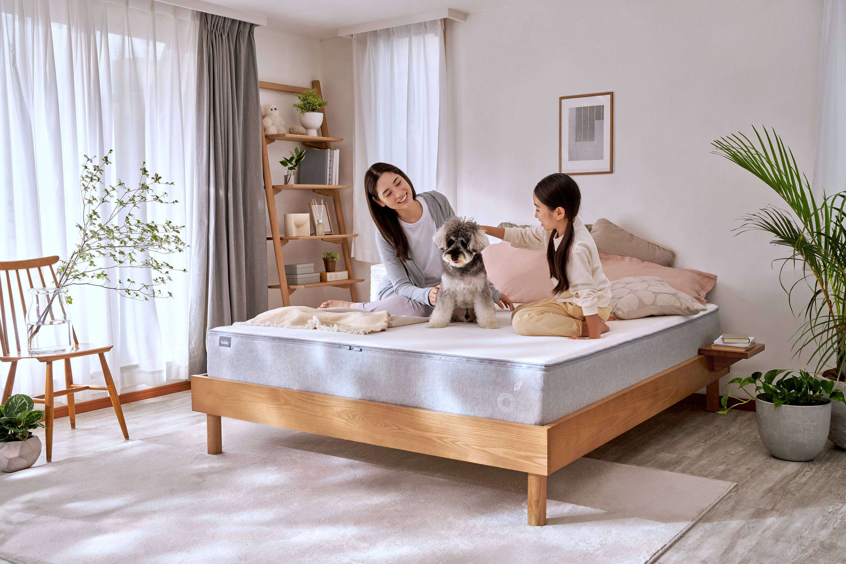 コアラスリープジャパン、当日受取できる「即日配送サービス